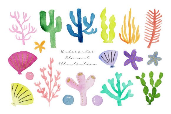 Cute Coral, Starfish, Seaweed Watercolor: A Brand Designer’s Review for Local Business Branding
