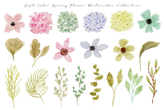 Hydrangea and Wild Flowers Watercolor Illustrations