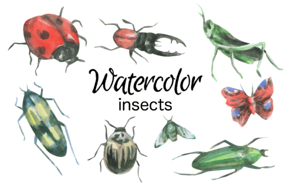 Insects Watercolor Clip Art & Illustrations