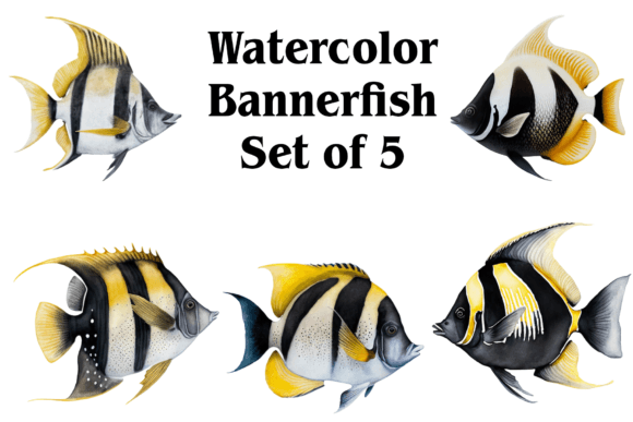 Watercolor Bannerfish Illustrations Review