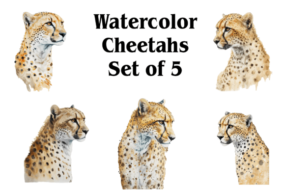 Watercolor Cheetahs: Bold Illustrations