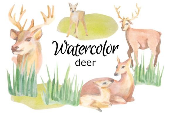 Watercolor Clipart Deer Baby Animals Art Review
