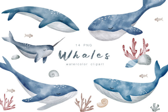 Watercolor Cute Whales Clipart PNG & Illustrations
