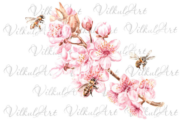 Watercolor Flowers Spring Blossom Illustrations