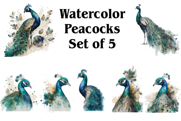 Watercolor Peacocks: Elegant Illustrations for Local Branding and Packaging